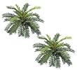 TWO 27" (diameter) Cycas Palm Artificial Silk Plants
