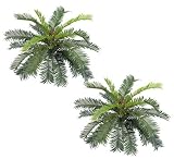 TWO 27" (diameter) Cycas Palm Artificial Silk Plants