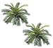 TWO 27" (diameter) Cycas Palm Artificial Silk Plants