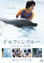 ドルフィンブルー フジ、もういちど宙(そら)へ 《限定版》 [DVD]