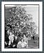 Historic Print: Raymond Dickey, Christmas Tree, 1915