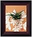 �y�� PEONY ���p