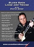 Blues Rock Guitar Licks and Tricks