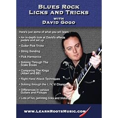 Blues Rock Guitar Licks and Tricks with David Gogo