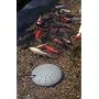 K&H Perfect Climate Submersible Pond De-Icer
