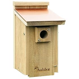 Wooden Bird Houses