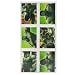 Search : Incredible Hulk Party Favors - Stickers