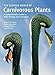 The Curious World of Carnivorous Plants: A Comprehensive Guide to Their Biology and Cultivation