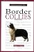 A New Owner's Guide to Border Collies