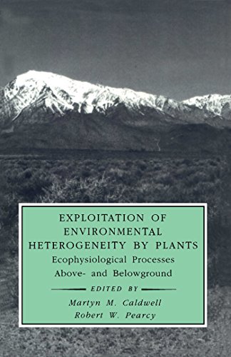 Exploitation of Environmental Heterogeneity by Plants: Ecophysiological Processes Above- and Belowground (Physiological Ecology)
