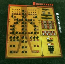 Buckethead Picture 16