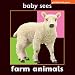 Farm Animals (Baby Sees)