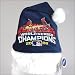 ST. LOUIS CARDINALS WORLD SERIES KIDS SIZE SANTA HAT!