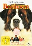 Produkt-Bild: Ein Hund namens Beethoven