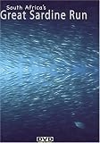 South Africa's Great Sardine Run