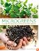 Microgreens: A Guide To Growing Nutrient-Packed Greens