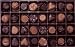 Gourmet Food : 32pc Assorted Gourmet Chocolate Certified Kosher-Dairy & Halal, Assorted Milk Chocolates