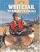 Whitetail Techniques & Tactics (The Complete Hunter)