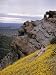 Woman Lies on a Steep Slope Covered with Golden Coreopsis Flowers Photographic Poster Print by B. Anthony Stewart, 12x16