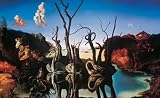 Salvador Dali (Swans Reflecting Elephants) Art Poster Print - 13
