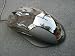 TEAM SCORPION X-LUCA: Gaming Mouse features USB, scroll wheel, real-time DPI switch (600-2400 DPI) and special grip