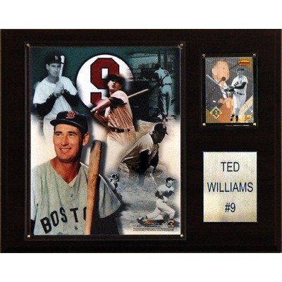 MLB Boston Red Sox Ted Williams Player Plaque