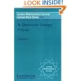 A Quantum Groups Primer by Shahn Majid