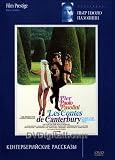 I Racconti Di Canterbury / The Canterbury Tales - (Russian Import - PAL DVD)