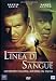 Linea Di Sangue