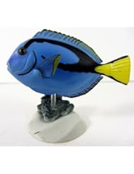 Regal Blue Tang Palette Surgeonfish Paracanthurus Hepatus Exotic Fish - Yujin