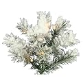 Prelit Flocked Mesabi - White/ Green