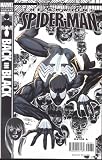 Amazing Spider-man #539 Back in Black (2nd Print - Variant Cover)