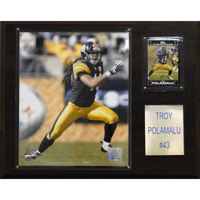 NCAA Football Ohio State Buckeyes Player Plaque