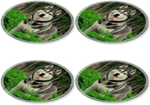 Dogs Huskies Pets Animal Garden Round Coaster (4 Piece) Set Fabric Rubber 5 Inch Size Liil Coaster Cup Mug Can Water Bottle Drink Coasters Stain Resistance Collector Kit Kitchen Table Top Desk