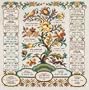 Janlynn Family Registry Cntd X-Stitch Kit
