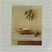 Olives Still Life Luncheon Napkins - Pack of 20