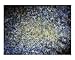 Liking of endless Emerging Artists Giclee Poster Print by Jouni Tapani Söderman, 10x8