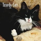 Tuxedo Cats 2009 Square Wall Calendar