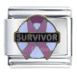 Pugster Breast Cancer Survivor Italian Charm Bracelet