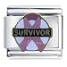 Jewelry : Pugster Breast Cancer Survivor Italian Charm Bracelet