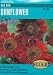 Sunflower Red Sun Seeds 40 Seeds