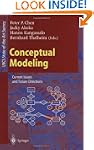 Conceptual Modeling: Current Issues a...