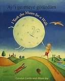 Ay'i gezmeye götürdüm = I took the moon for a walk