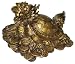 Zoobox, FS-0501, Dragon Headed Turtle, Courage and Longevity