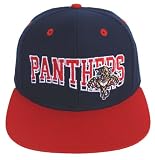 Florida Panthers Retro Hat Cap Snapback Script 2 Tone
