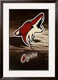 Phoenix Coyotes Framed Poster Print, 32x44