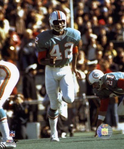 Paul Warfield Miami Dolphins 8x10 Photo