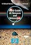 Field Guide to Meteors and Meteorites (Patrick Moore's Practical Astronomy Series)