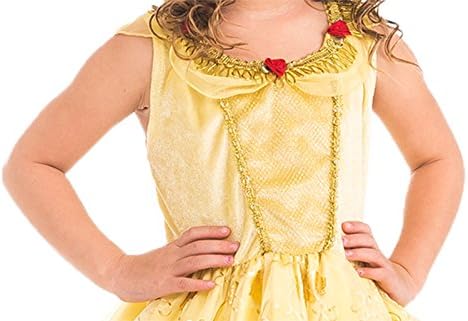 Belle Princess Dress with Wonderchamrs Necklace - MEDIUM (3-5)