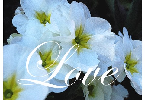 Love/Harmony On Sale